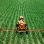 Inteligência artificial acelera transformação do agronegócio brasileiro, afirma especialista
