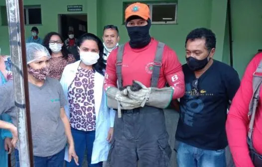 Bombeiros resgatam filhote de gato preso em tubulação em Fortaleza