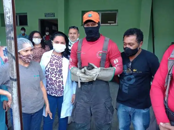 Bombeiros resgatam filhote de gato preso em tubulação em Fortaleza