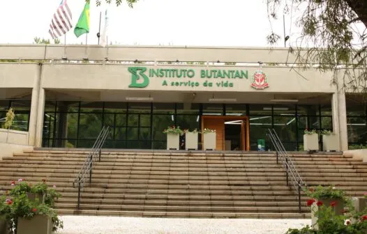 Covid-19: Butantan identifica nova variante recombinante em São Paulo