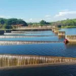 Ceará registra 43 açudes sangrando em mais de 30 municípios; confira os locais