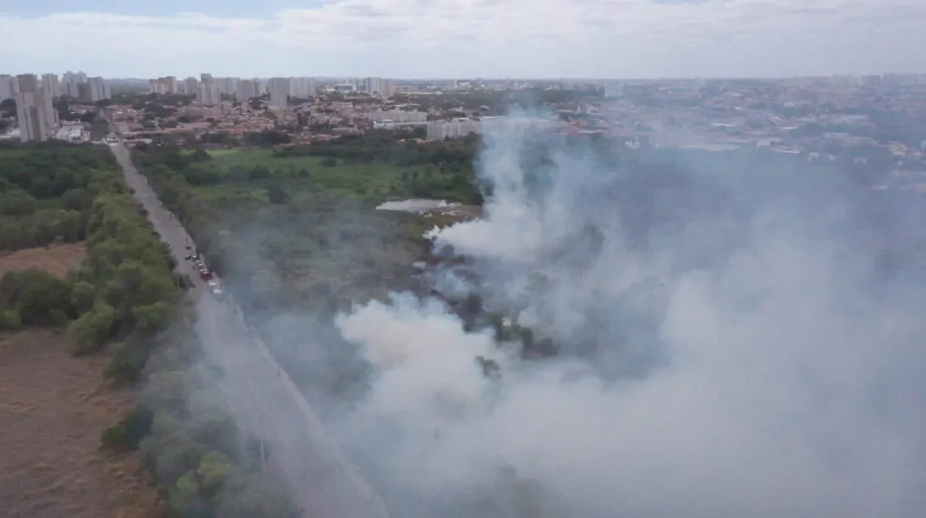 Incêndio no Parque do Cocó foi causado por fogos de artifícios do Clássico-Rei? Veja o que dizem os bombeiros