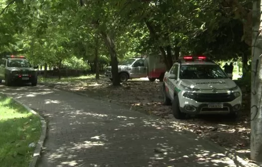 Corpo de mulher é encontrado no Parque Rio Branco, em Fortaleza