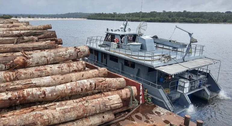 Exército apreende comboio com toras de madeira no Pará