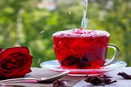 Bebida funcional feita com água de coco e chá de hibisco é criada por pesquisadoras da UFC