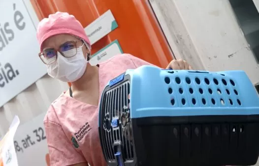 Prefeitura de Fortaleza realiza mutirão para castrar gatos no Polo de Lazer da Av. Sargento Hermínio