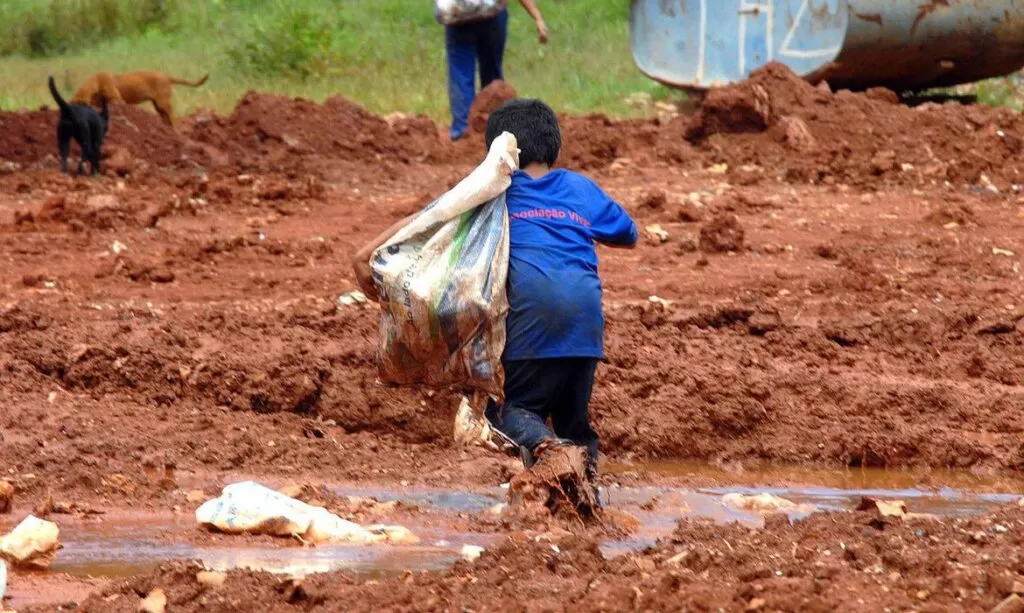 Nordeste registra mais de meio milhão de crianças e adolescentes em trabalho infantil, segundo IBGE