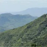 Desmatamento da Mata Atlântica no Ceará cai 21% em 2024; número ainda é preocupante