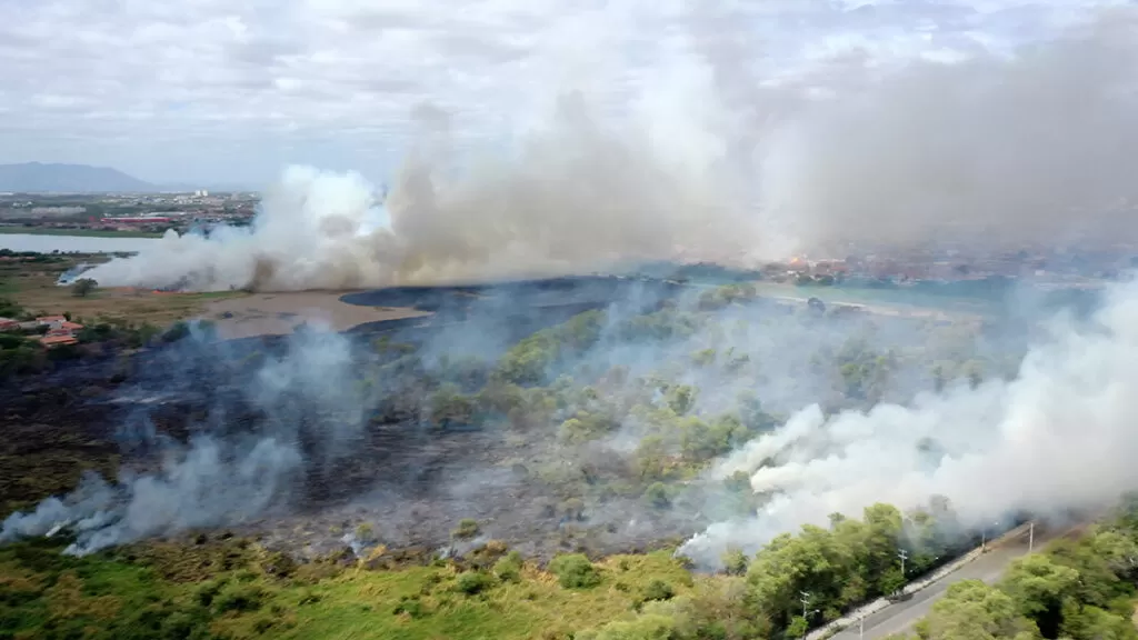 Incêndio no Parque do Cocó: saiba os riscos de inalar fumaça
