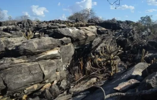 Ceará cria Unidade de Conservação Ambiental em Madalena e Itatira