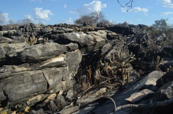 Ceará cria Unidade de Conservação Ambiental em Madalena e Itatira