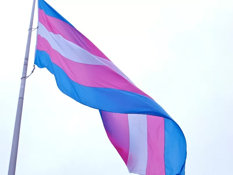 Nome social: Defensoria Pública do Ceará emite certidão gratuita que retifica nome e gênero de pessoas trans