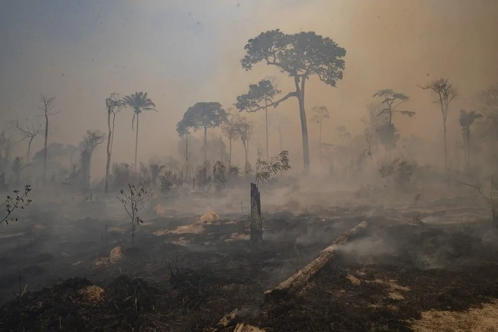 UFRJ: pesquisa aponta como a crise ambiental é percebida nas classes B e C