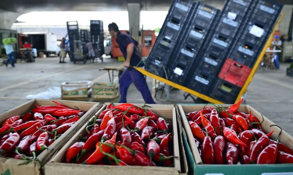Mapa: 89% dos vegetais comercializados são seguros para consumo