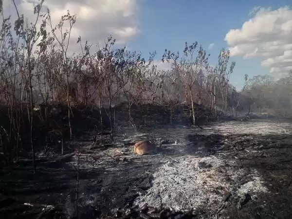 Ceará tem 3º outubro com mais focos de calor, diz Funceme