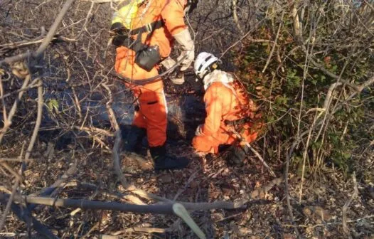 Seis estados e DF estão em alerta para risco de secas
