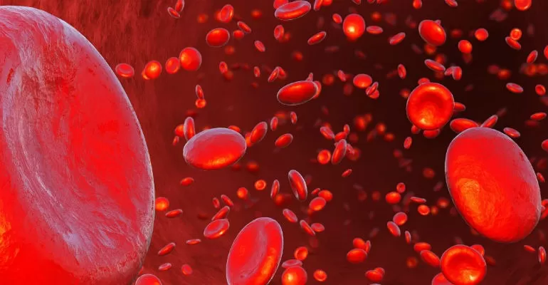 Talassemia grave atinge cerca de mil pessoas no Brasil; saiba mais sobre a doença