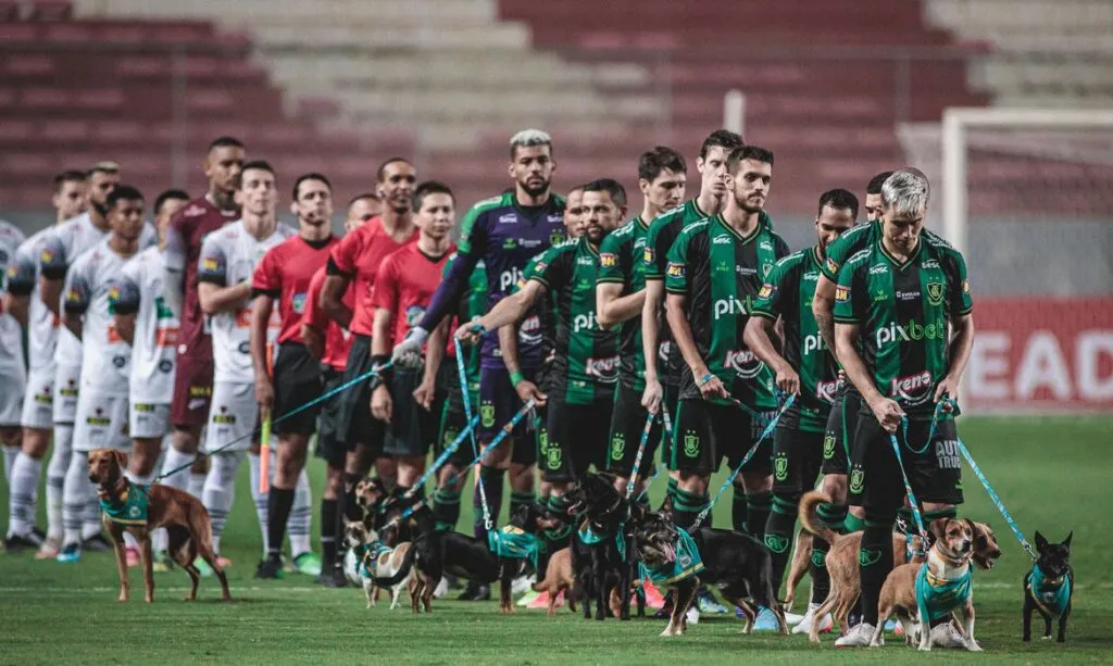 Jogadores entram com cães para adoção em partida do Campeonato Mineiro