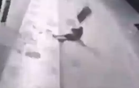 Vídeo: ladrão cai do 2º andar de prédio e é atingido por TV que furtava