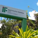 Em quatro meses, 12 gatos são encontrados mortos em campus do IFCE; suspeita é de envenenamento