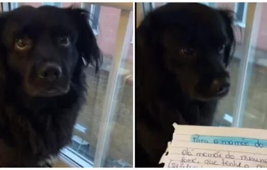 Cachorro é suspenso de creche e vídeo viraliza nas redes sociais