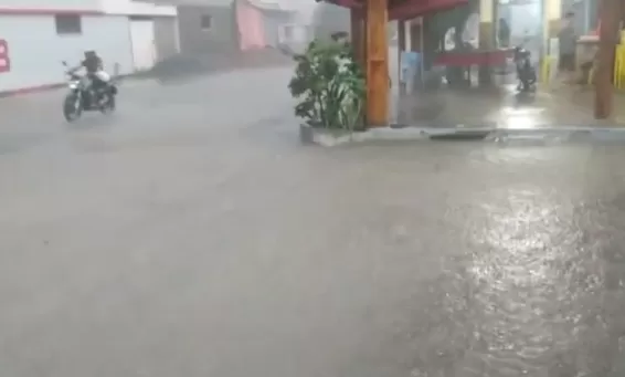 Chuva intensa causa alagamentos e derruba fios de energia em Quixadá; cão morreu eletrocutado