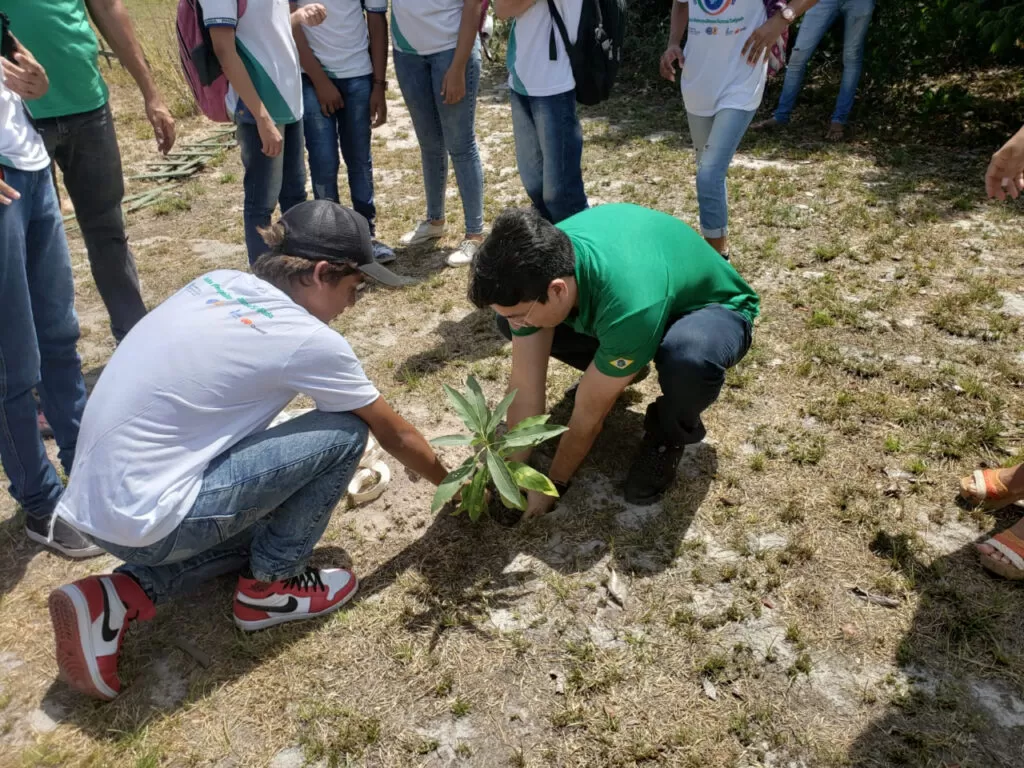 Saiba como se inscrever para o Programa Agente Jovem Ambiental; são mais de 9 mil vagas
