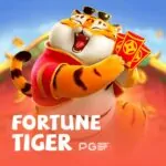 Melhor horário para jogar o jogo do tigre; Conheça e jogue.
