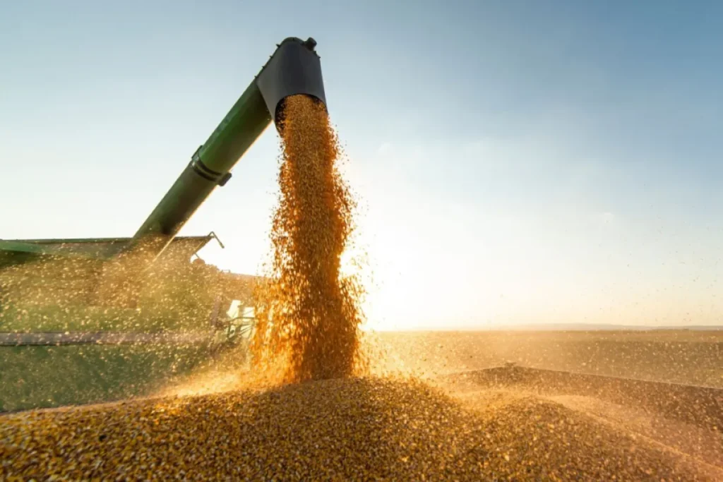 Exportações do agronegócio em março crescem 12,5% ante março de 2024