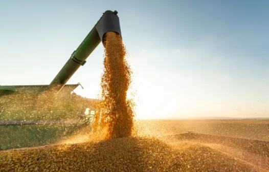 Safra de 2025 deve alcançar recorde de 327,6 milhões de toneladas, aponta IBGE