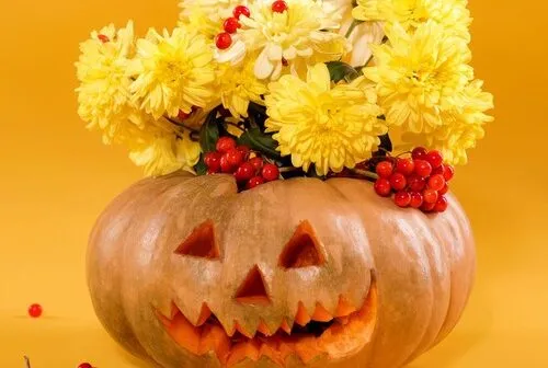 Halloween: confira ideias criativas de flores e plantas para a decoração