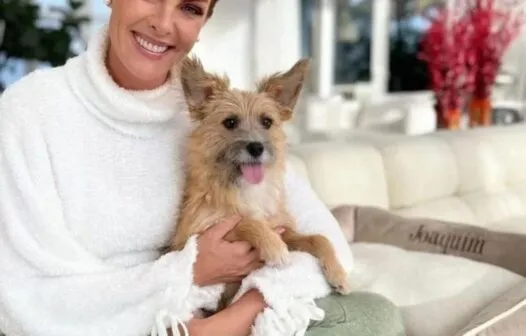 Vira-lata resgatado por Ana Hickmann a ajudou a se defender de agressão do marido