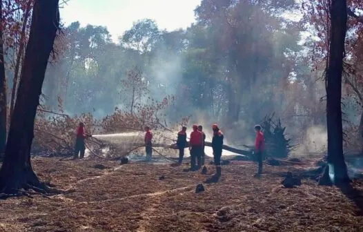 Bombeiros combatem durante a madrugada poucos focos de incêndio ativos no Cocó