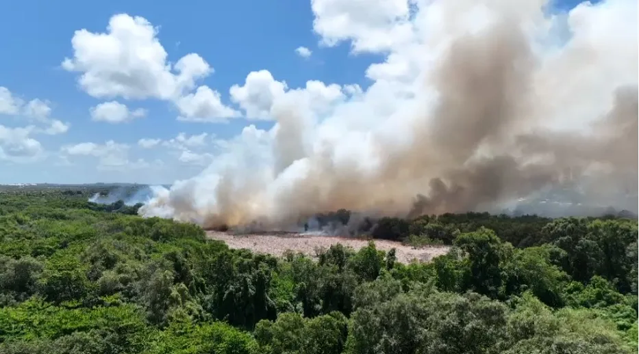Incêndio atinge área do Parque do Cocó em Fortaleza