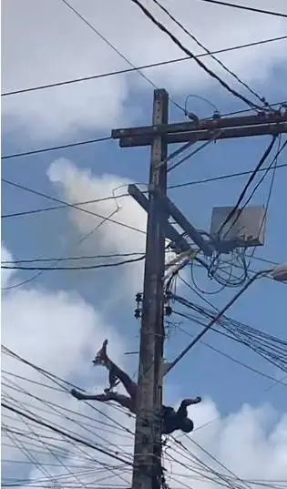 Homem cai de uma altura de 5 metros após sofrer descarga elétrica em cima de poste