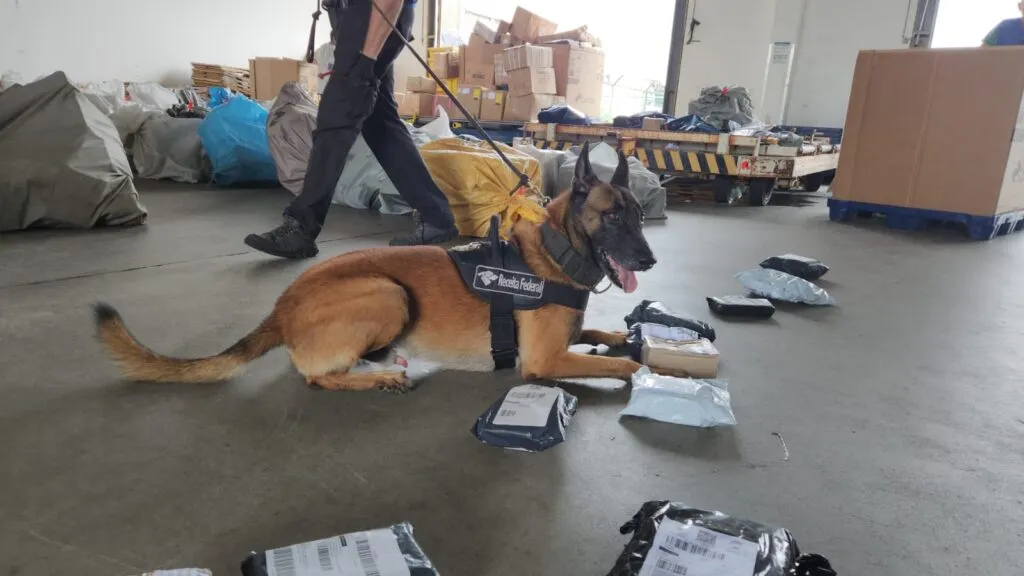 Receita Federal apreende maconha e dinheiro falso no Aeroporto de Fortaleza