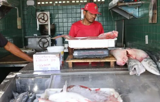 Semana Santa: procura por peixes frescos em mercados públicos aumenta em Fortaleza