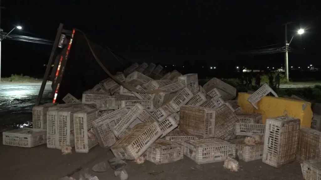 Caminhão com carga de frangos tomba e pega fogo na Grande Fortaleza