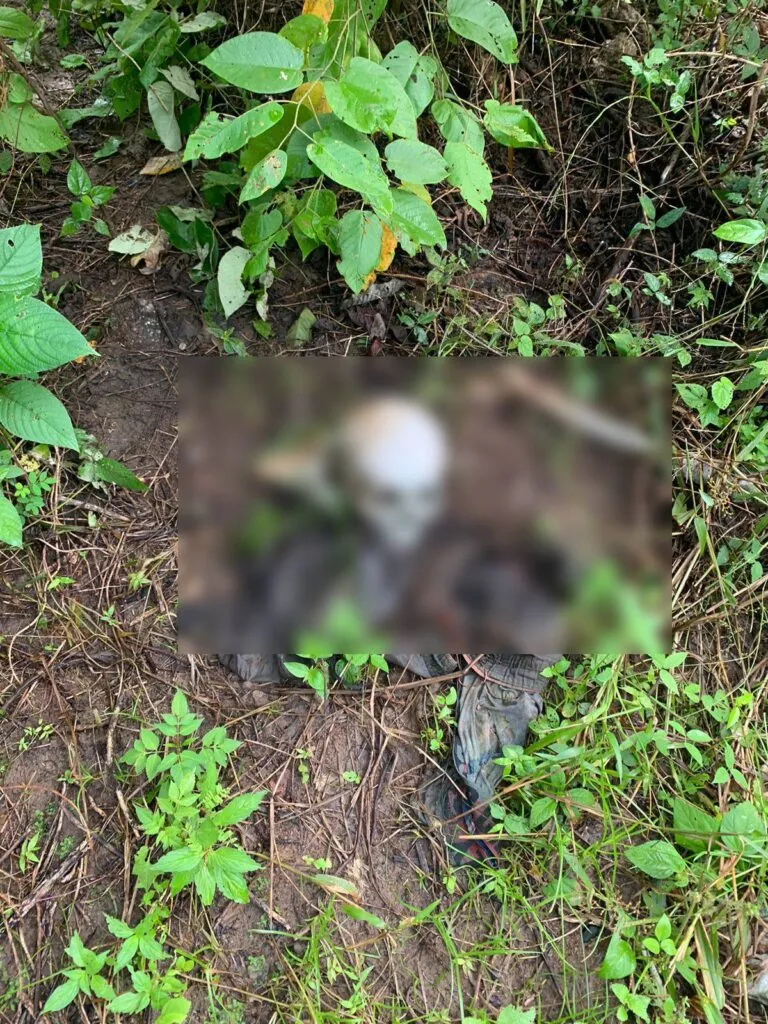 Vaqueiro encontra ossada humana em fazenda na zona rural de Maranguape