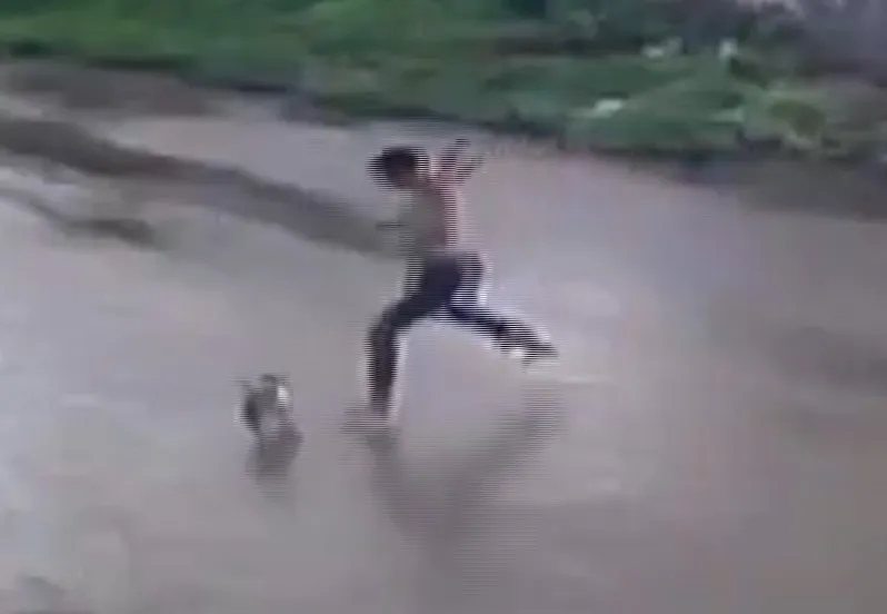 Câmera flagra cachorro sendo agredido na rua; animal teve osso da pata quebrado