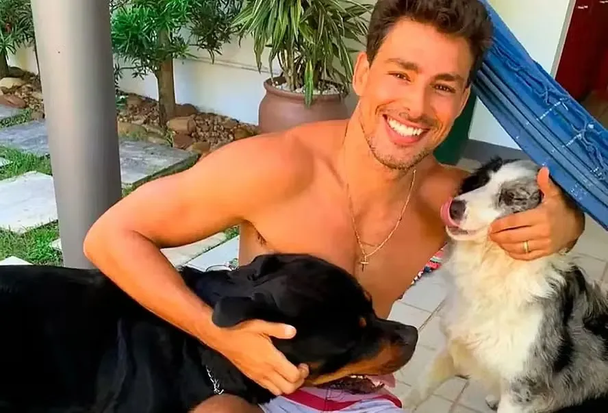 Cauã Reymond conta que cadela envenenada está “bem melhor” e voltando para casa