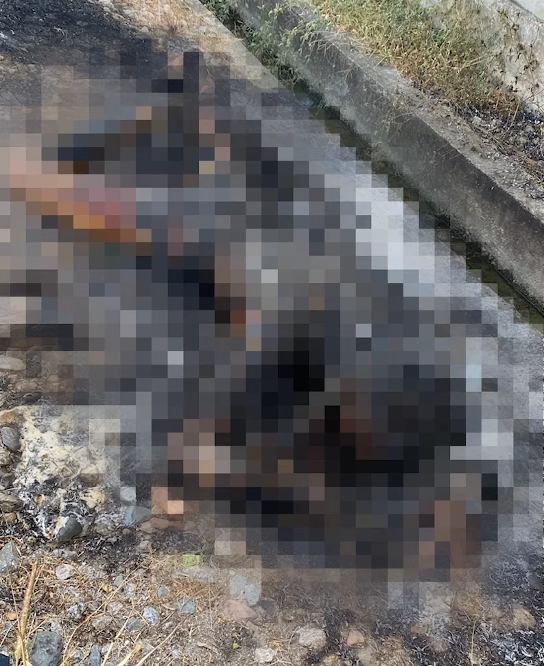 Corpo de homem carbonizado é encontrado em via férrea, em Fortaleza; polícia investiga o caso