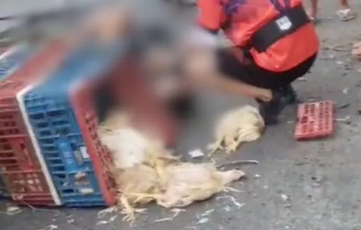 Adolescente de 15 anos morre após colidir motocicleta contra árvore em Fortaleza