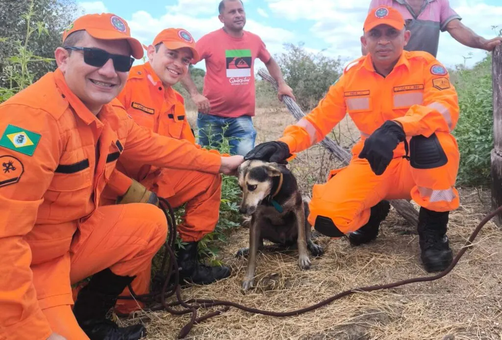 Cachorro é resgatado pelo Corpo de Bombeiros após cair em cacimba de 15 metros no Ceará