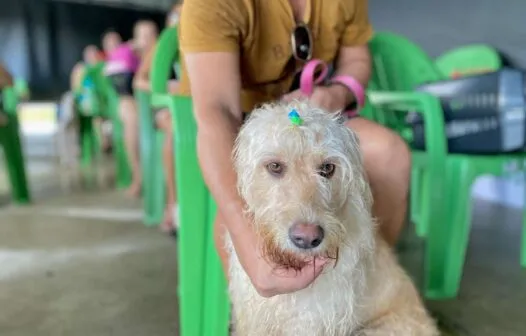 Animais domésticos terão atendimento gratuito em Fortaleza neste sábado (5)