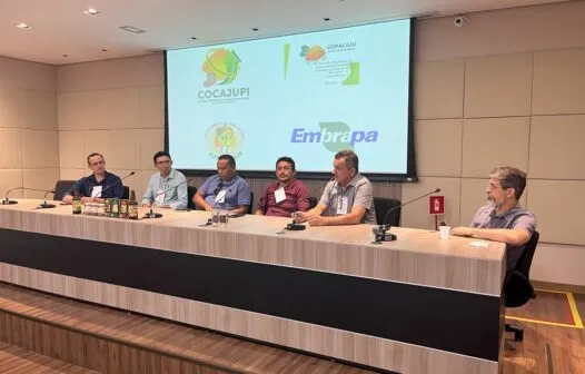 Cadeia produtiva apresenta propostas de melhoria para minifábricas de castanha de caju