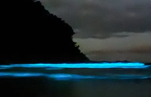 Mar de Ubatuba brilha em azul fluorescente e encanta pessoas