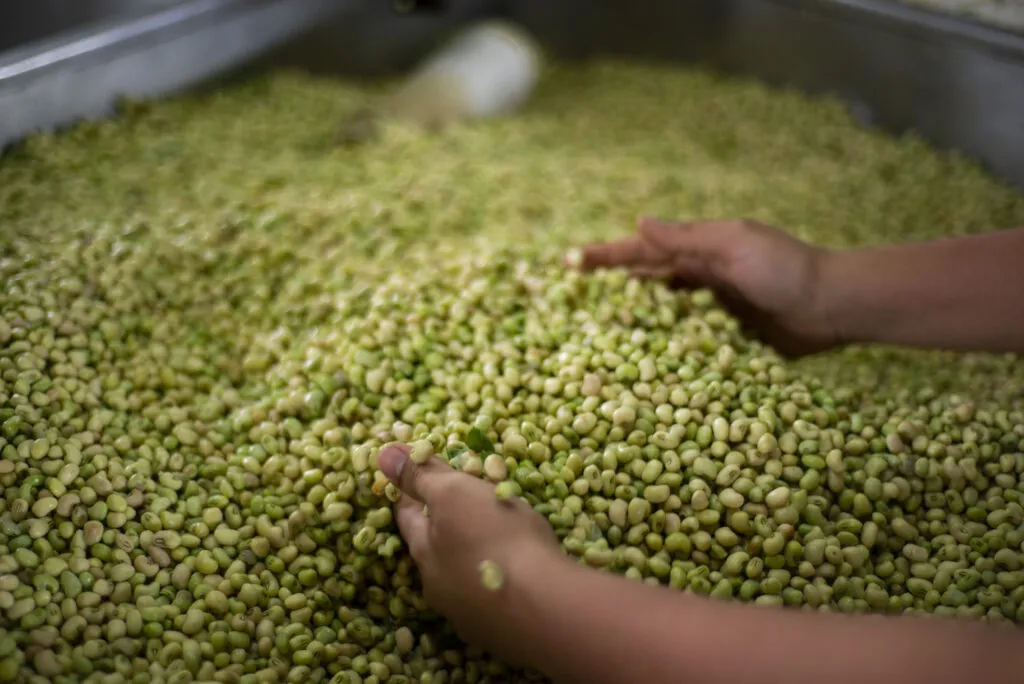 Saiba quais os alimentos que não podem faltar na Semana Santa dos cearenses