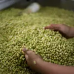Saiba quais os alimentos que não podem faltar na Semana Santa dos cearenses