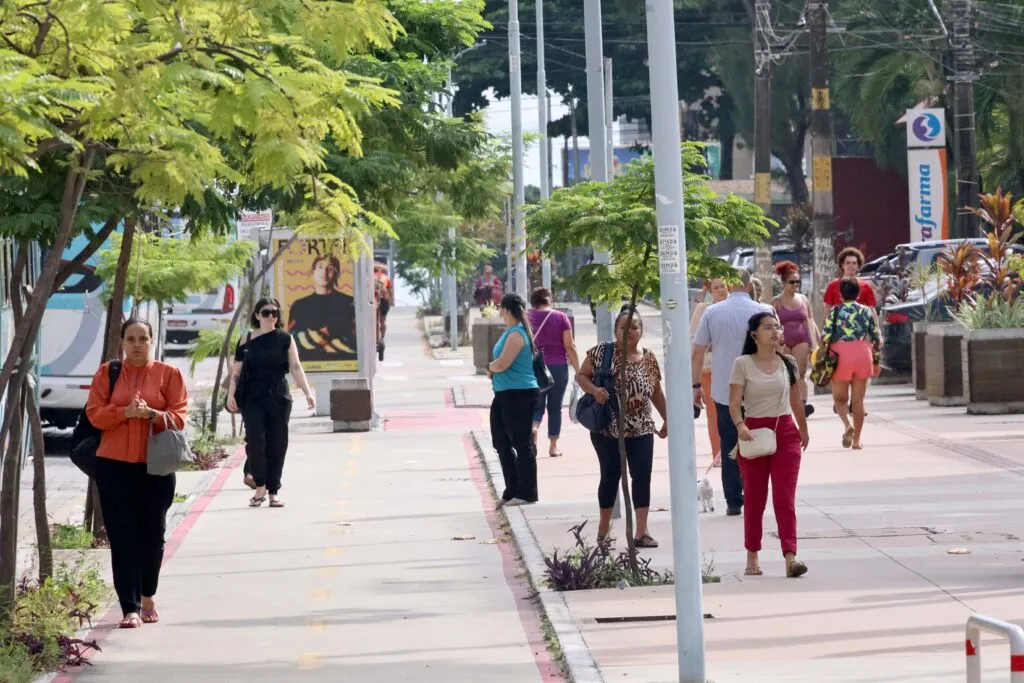 Fortaleza é a capital mais arborizada do Nordeste, aponta IBGE